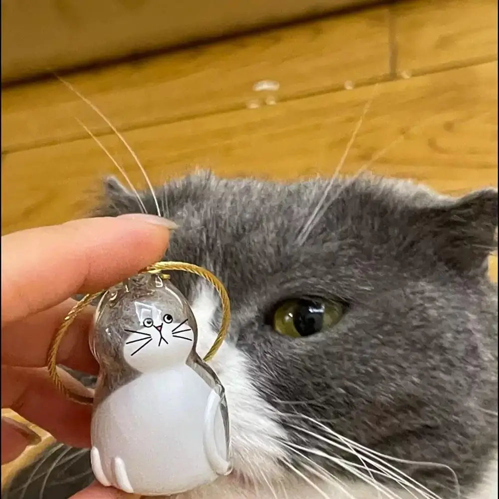 Pet Hair Storage Box - Transparent Keepsake Container Handmade Design