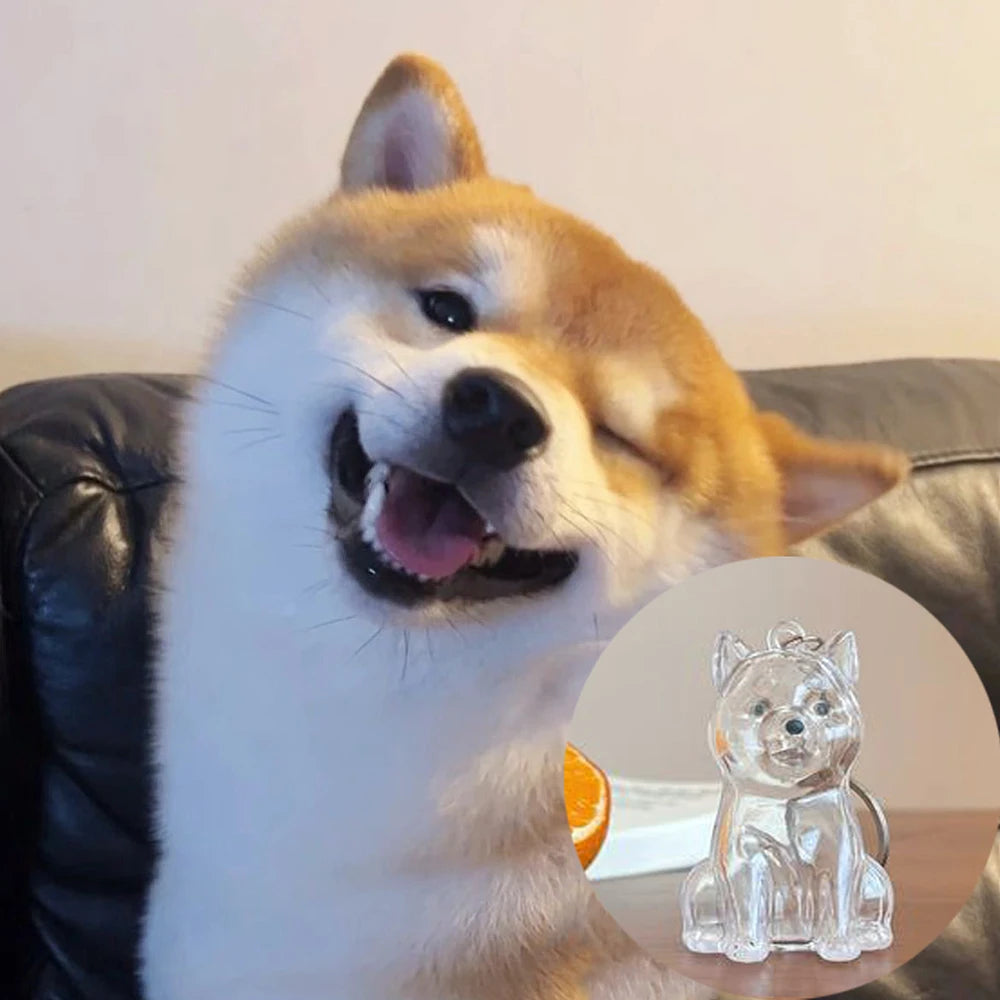 Pet Hair Storage Box - Transparent Keepsake Container for Cat Fur Memorial