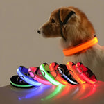 Load image into Gallery viewer, Nylon LED Dog Collar – Glow-in-the-Dark Safety Light for Night Walks
