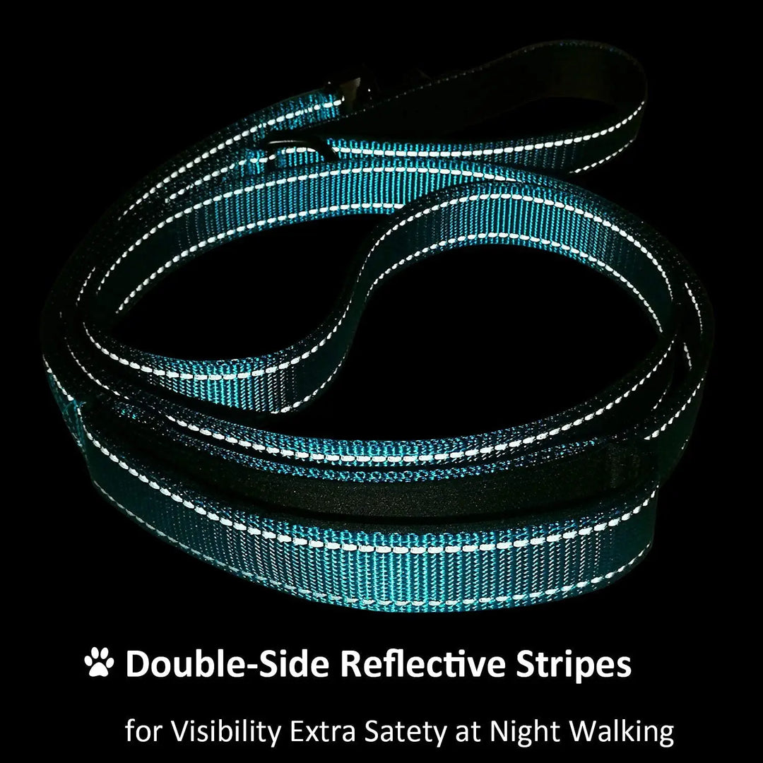 Heavy Duty Reflective Dog Leash – Padded Double Handle for Training & Control