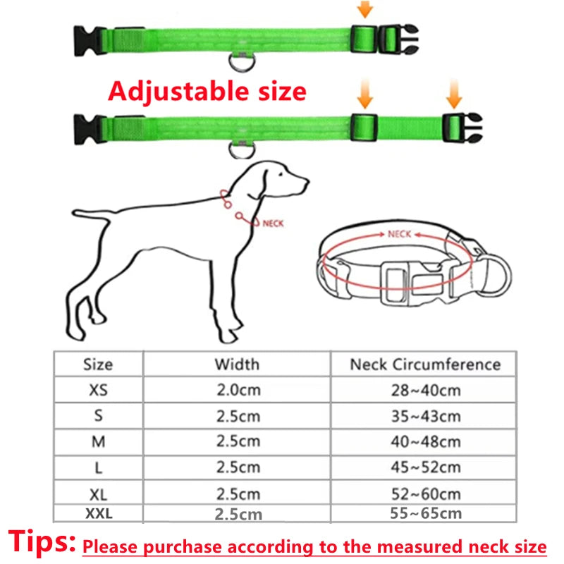 USB Rechargeable LED Dog Collar – Adjustable Glowing Safety Light for Pets