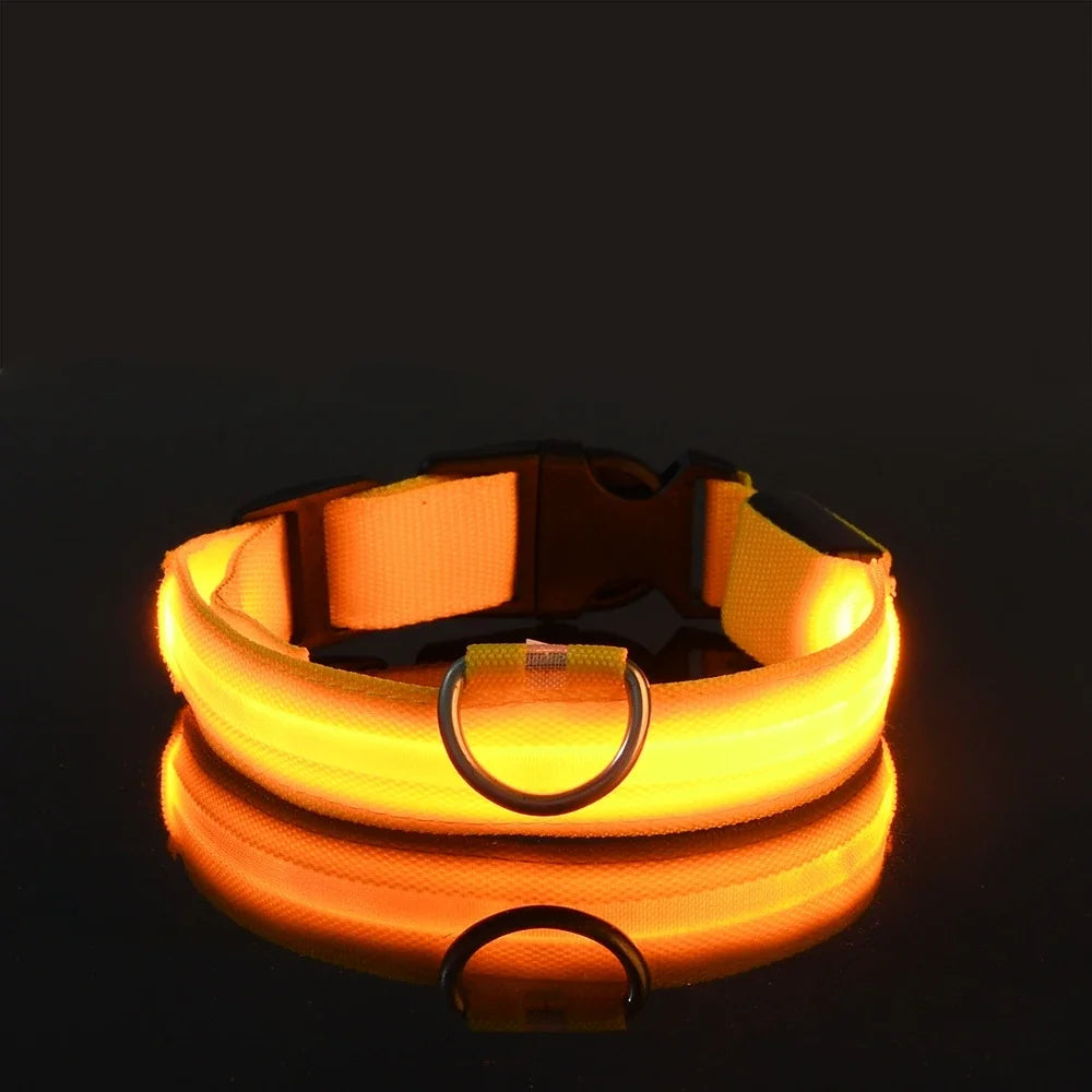 Nylon LED Dog Collar – Glow-in-the-Dark Safety Light for Night Walks