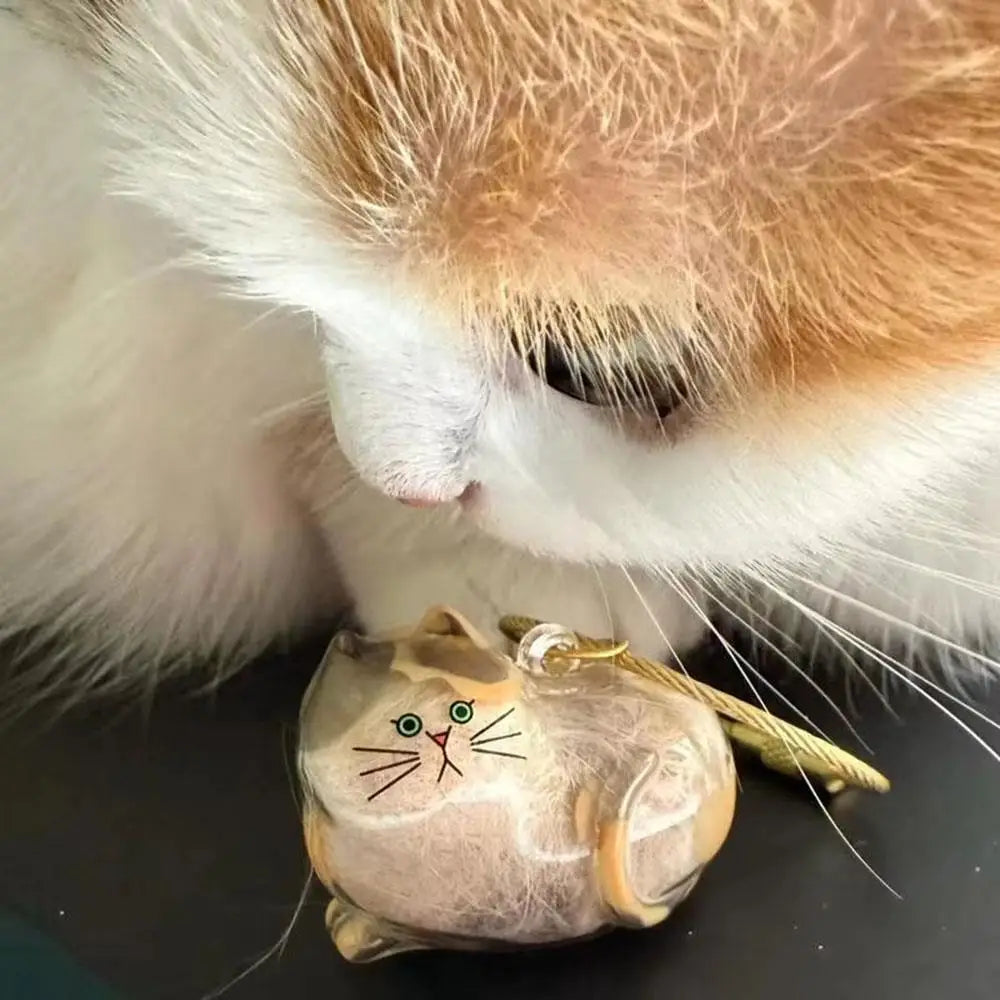 Pet Hair Storage Box - Transparent Keepsake Container Handmade Design