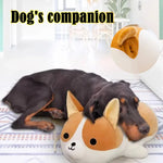 Load image into Gallery viewer, Interactive Dog Toy for Adolescent Dogs – Prevent Irritability &amp; Depression
