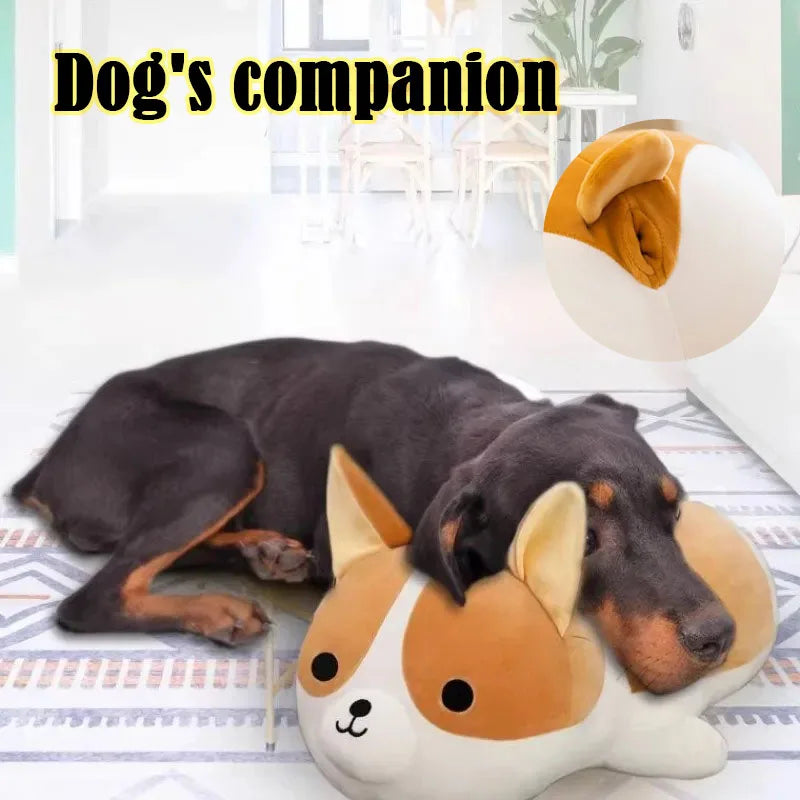 Interactive Dog Toy for Adolescent Dogs – Prevent Irritability & Depression